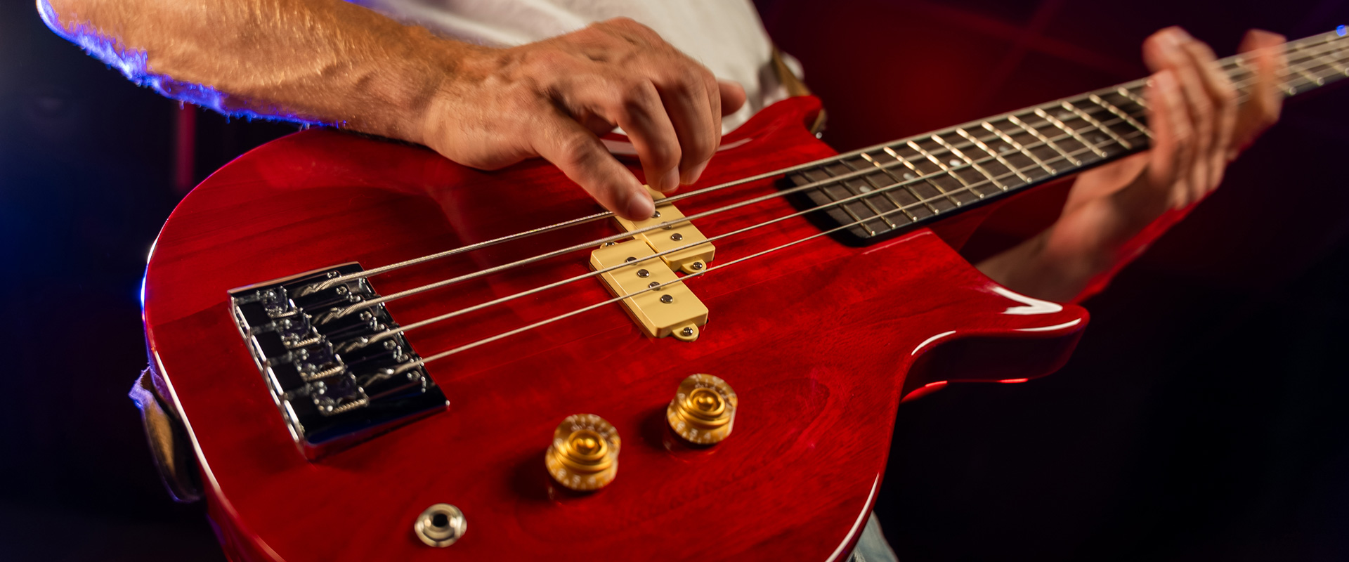 SCAVENGER ’78 - Wing Series Collection